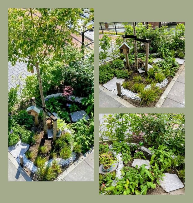 Tuin